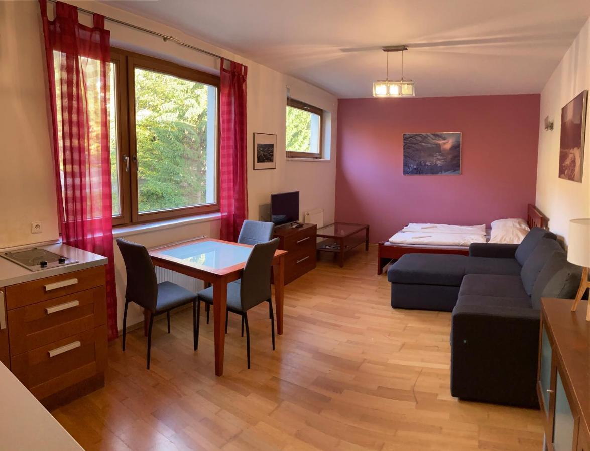 Studio Michael Apartment Spindleruv Mlyn